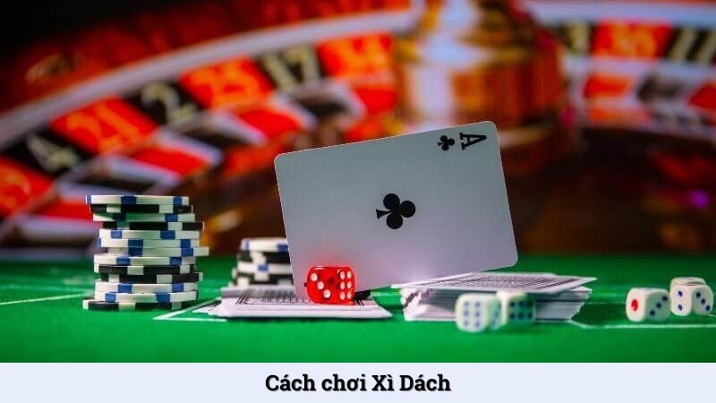 Cách chơi Xì Dách trực tuyến chi tiết cho cược thủ mới