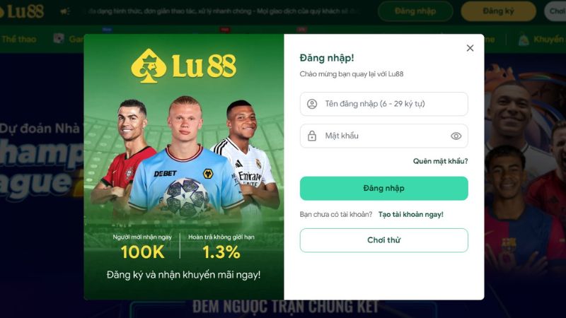 Điền đầy đủ thông tin khi đăng nhập Lulu88