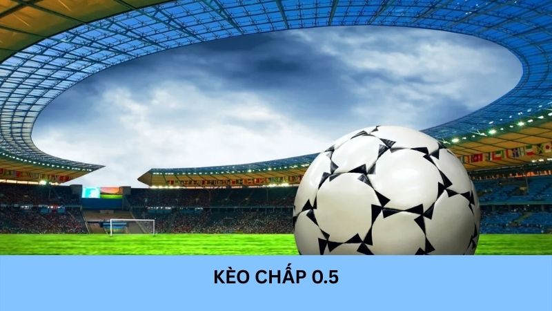Kèo chấp 0.5 tại Lulu88