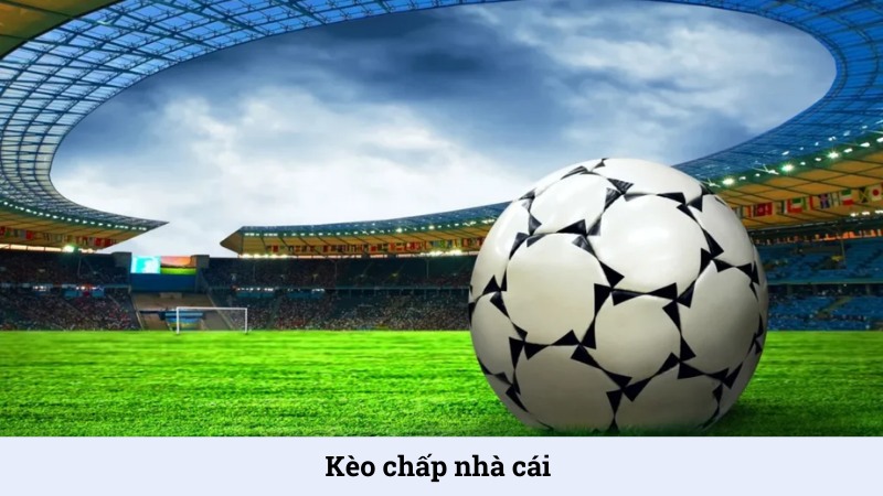 Kèo chấp nhà cái - Điểm qua những loại kèo phổ biến