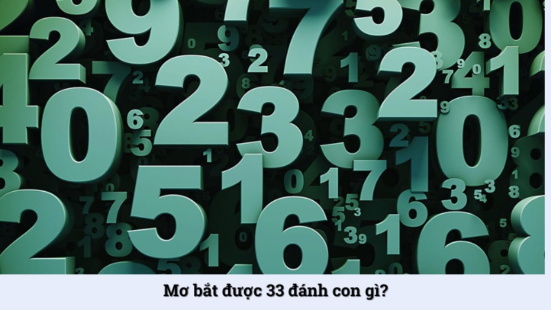 Mơ bắt được 33 đánh con gì? - Khám phá điềm báo ẩn chứa