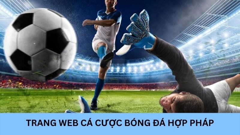 Lulu88: Trang web cá cược bóng đá hợp pháp